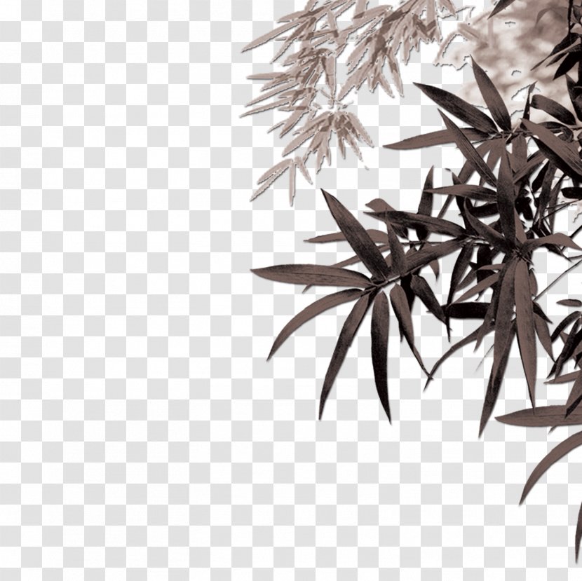 Bamboo Bamboe Leaf Computer File - Monochrome - Ink Painting Leaves Transparent PNG