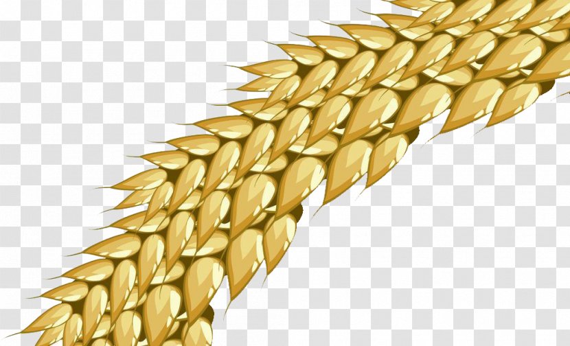 Wheat CorelDRAW - Golden Ear Transparent PNG