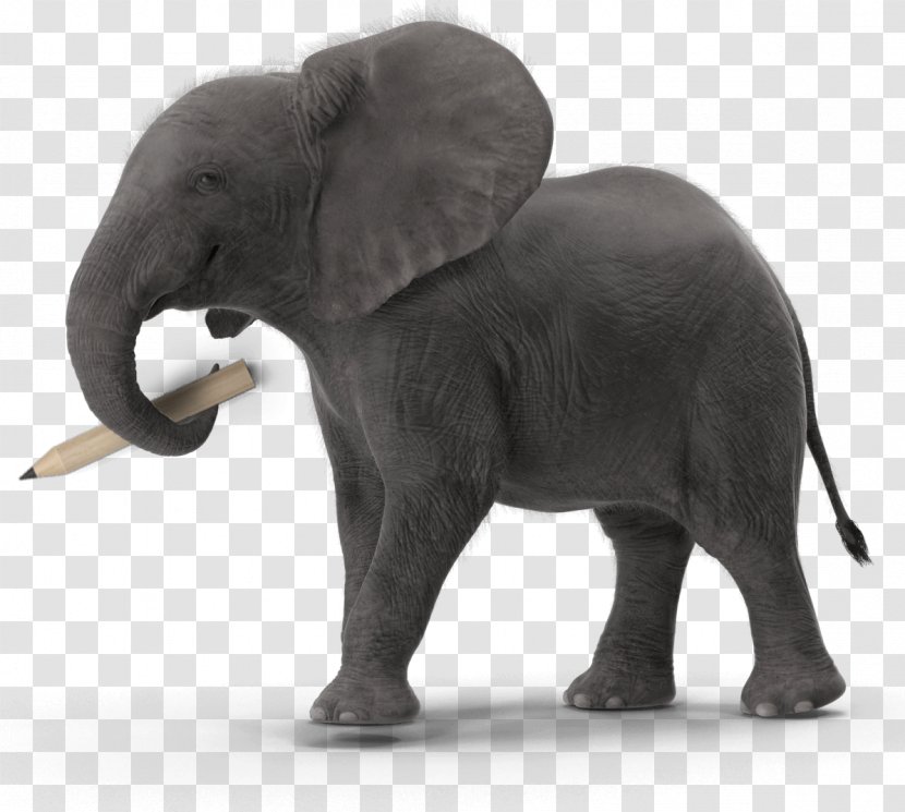 Indian Elephant Graphic Design African Brand - Creativity Transparent PNG