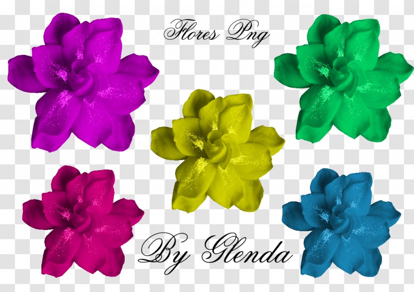 Flower Image Petal File Format - Blog Transparent PNG