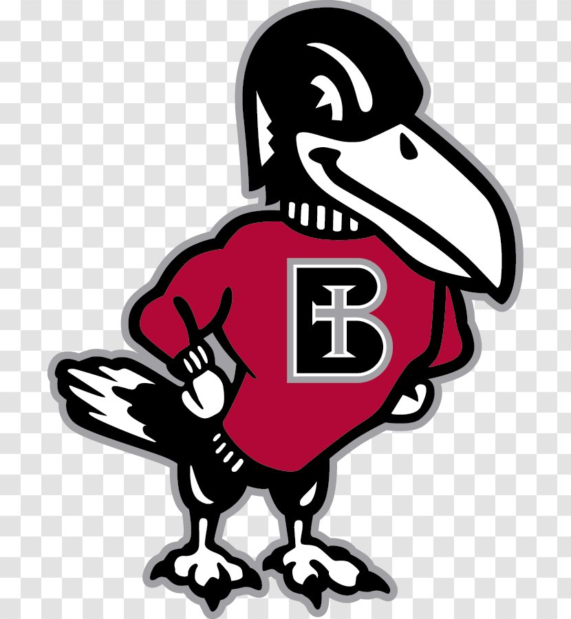 Benedictine College Ravens Women's Basketball Northwestern Men's Bellevue University - Water Bird Transparent PNG