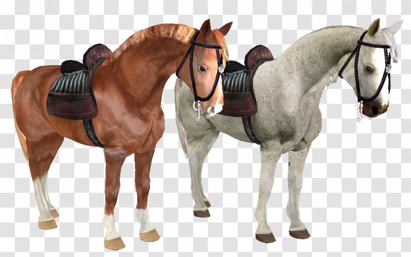 Stallion Oblivion Hunt Seat Horse The Elder Scrolls V: Skyrim - Equestrian Transparent PNG