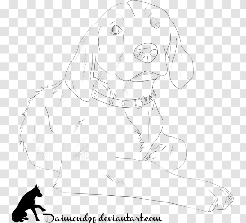 Labrador Retriever Puppy Dog Breed Sketch - Mammal Transparent PNG