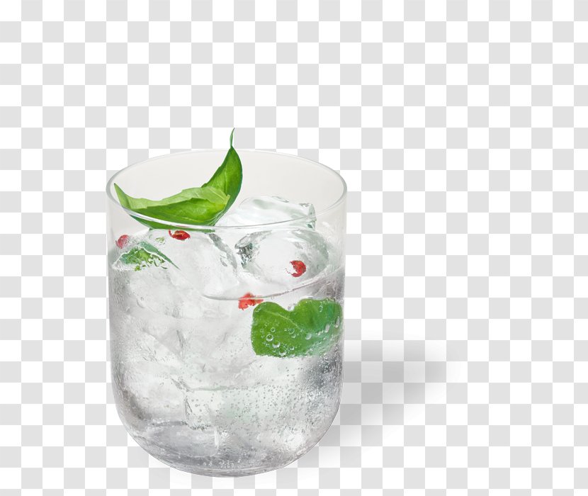 Rickey Gin And Tonic Water Fizzy Drinks - Bacardi - Vodka Transparent PNG