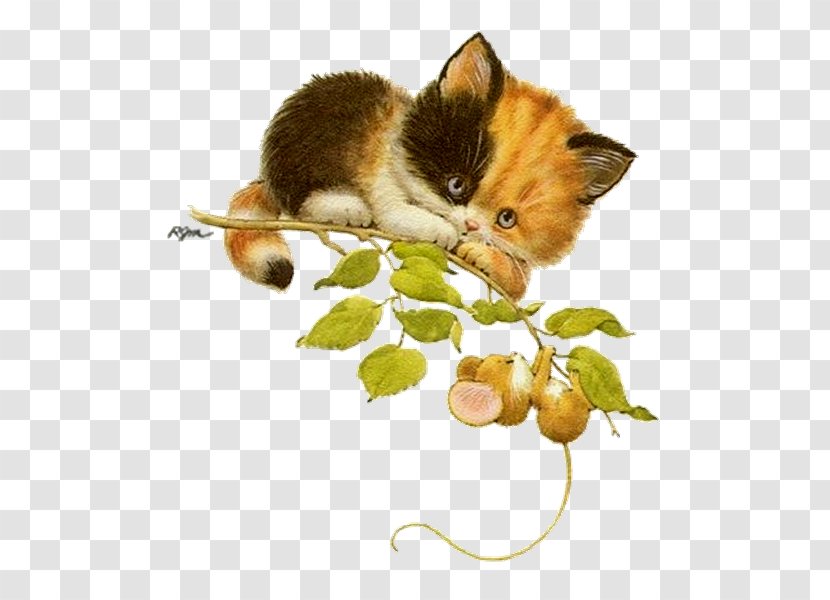 Kitten Whiskers Cat Mouse Clip Art Transparent PNG