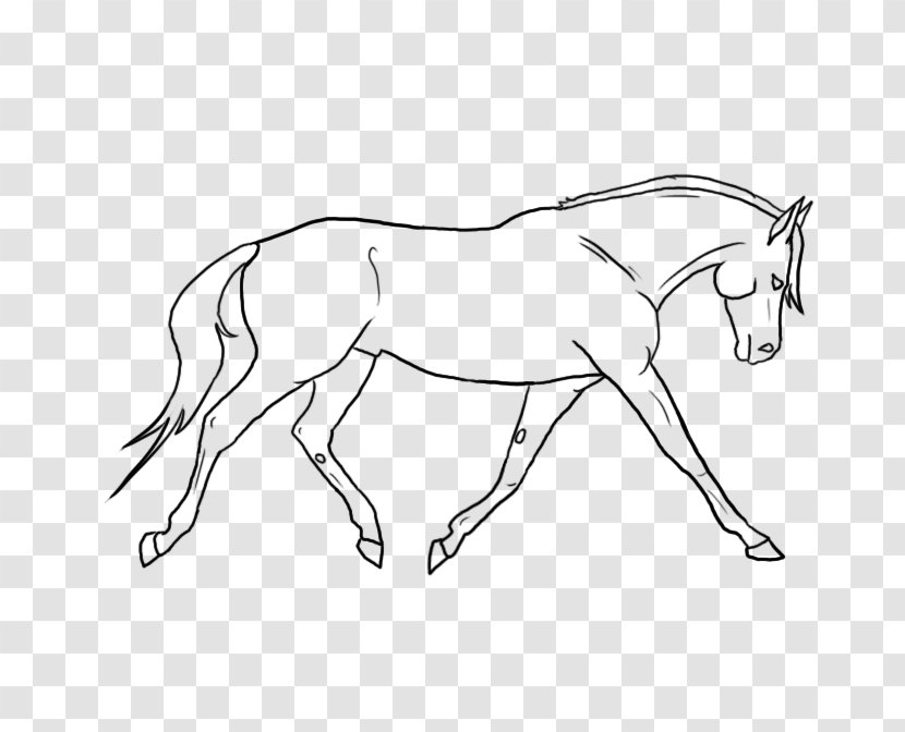Mule Foal Bridle Stallion Colt - Pack Animal - Horse Western Transparent PNG