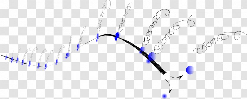 Line Art Point Angle - Heart - Molecular Biology Transparent PNG