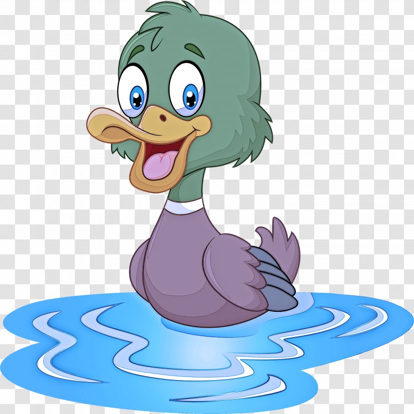 Duck Cartoon Bird Ducks, Geese And Swans Water - Animation Waterfowl Transparent PNG