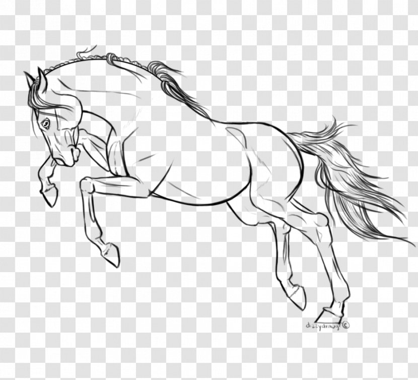 Line Art Arabian Horse Drawing Pony Stallion - Colt - Parting Transparent PNG