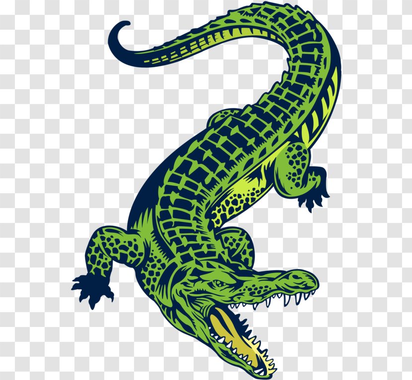 Crocodile Reptile Alligators Sticker Art - Poster - Lizards Tail Clipart Transparent PNG