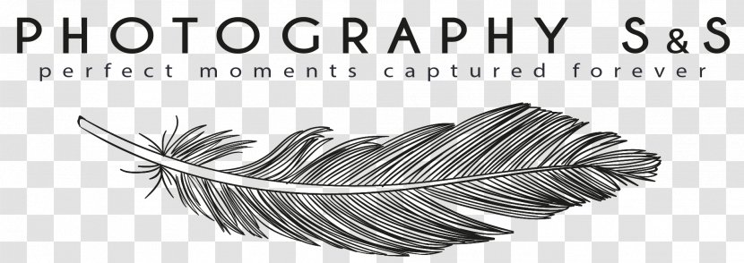 Tolyatti Responsive Web Design Photography Photographer - Wedding Logo Transparent PNG
