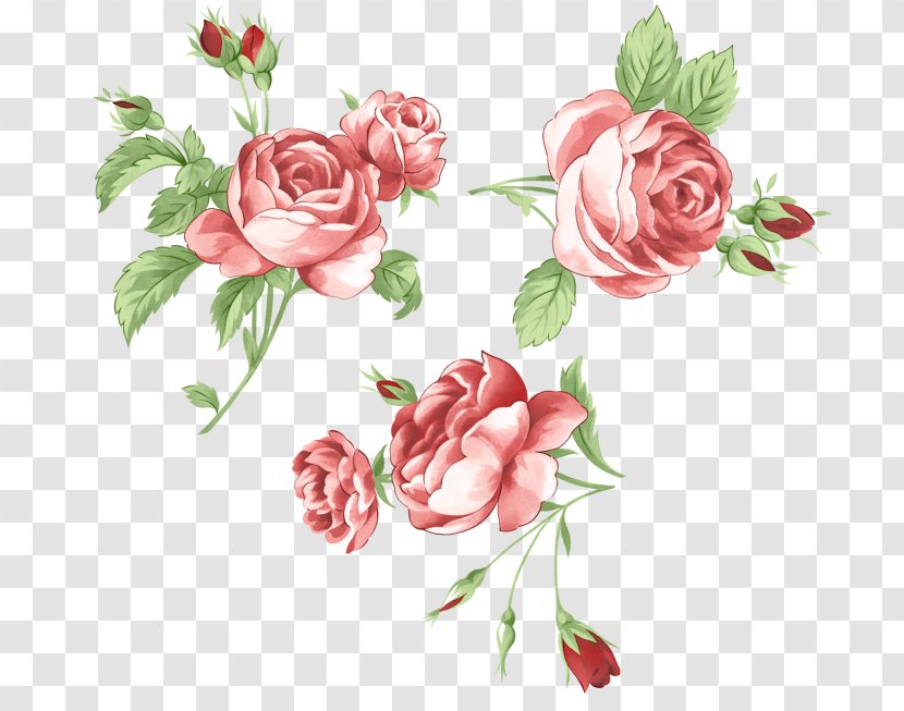 Garden Roses Picture Frames Flower Sticker Clip Art - Rose - Korean Red Flowers Transparent PNG