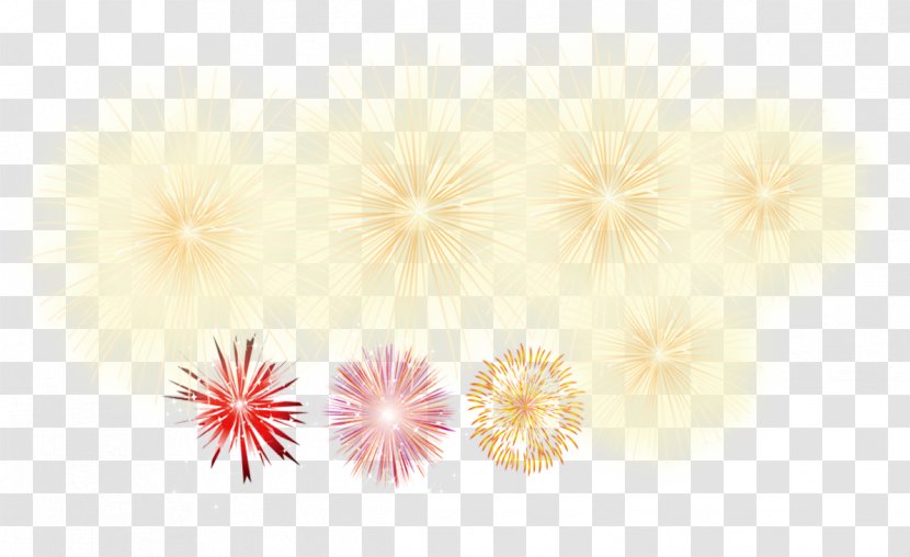 Petal Floral Design Pattern - Bloom Of Fireworks Transparent PNG
