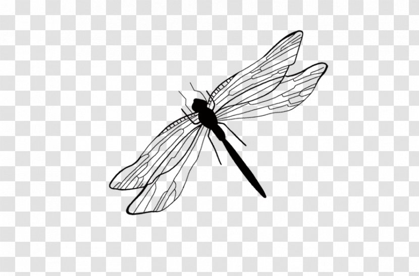 Butterfly Dragonfly Euclidean Vector - Invertebrate Transparent PNG