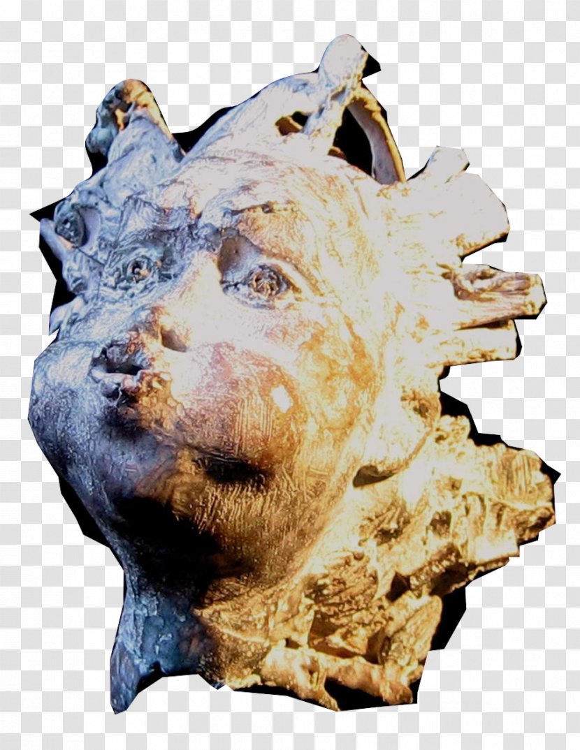 Bronze Sculpture Animalière Snout Les Bronzés - Animal - L'enchanteresse De Florence Transparent PNG