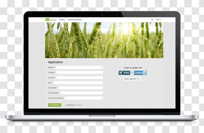 Multimedia Brand Grasses - Computer Monitors - Recruiting Talents Transparent PNG