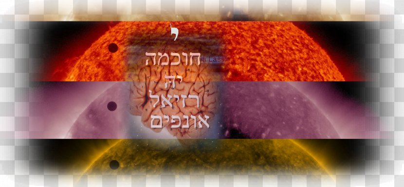 Close-up Organism Mouth Font - Closeup - Nefesh B'nefesh Transparent PNG