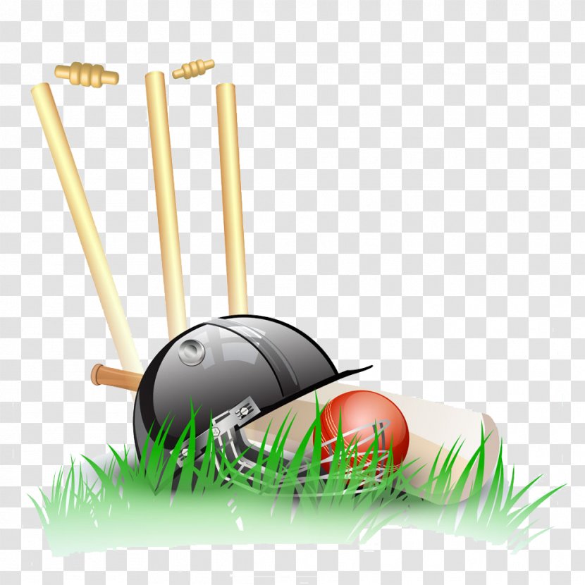 Papua New Guinea National Cricket Team Stump Wicket - Batting - Cartoon Baseball Collection Transparent PNG