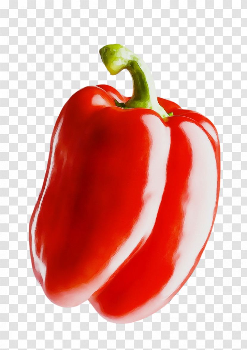 Tomato Transparent PNG