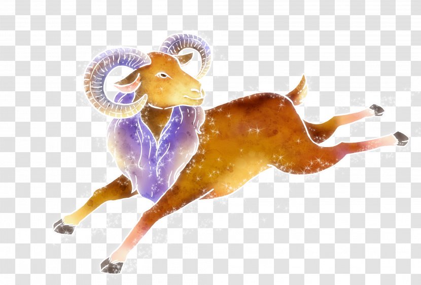 Sheep Aries Constellation Transparent PNG