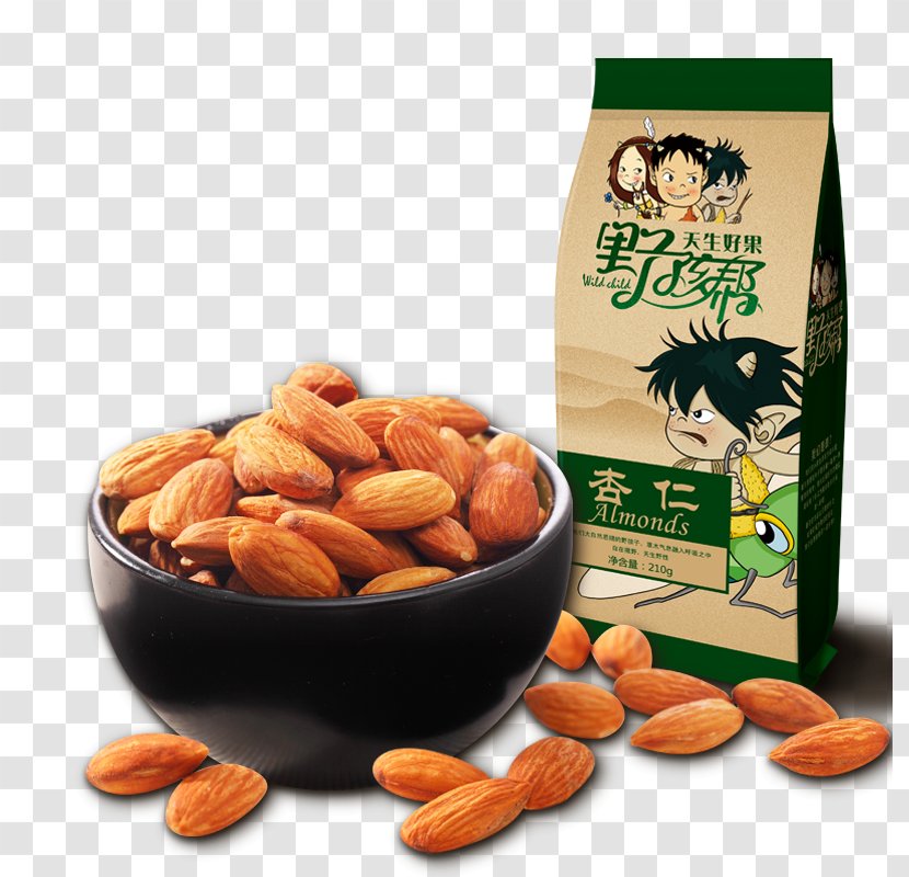Peanut Almond Food Apricot Kernel - Superfood Transparent PNG