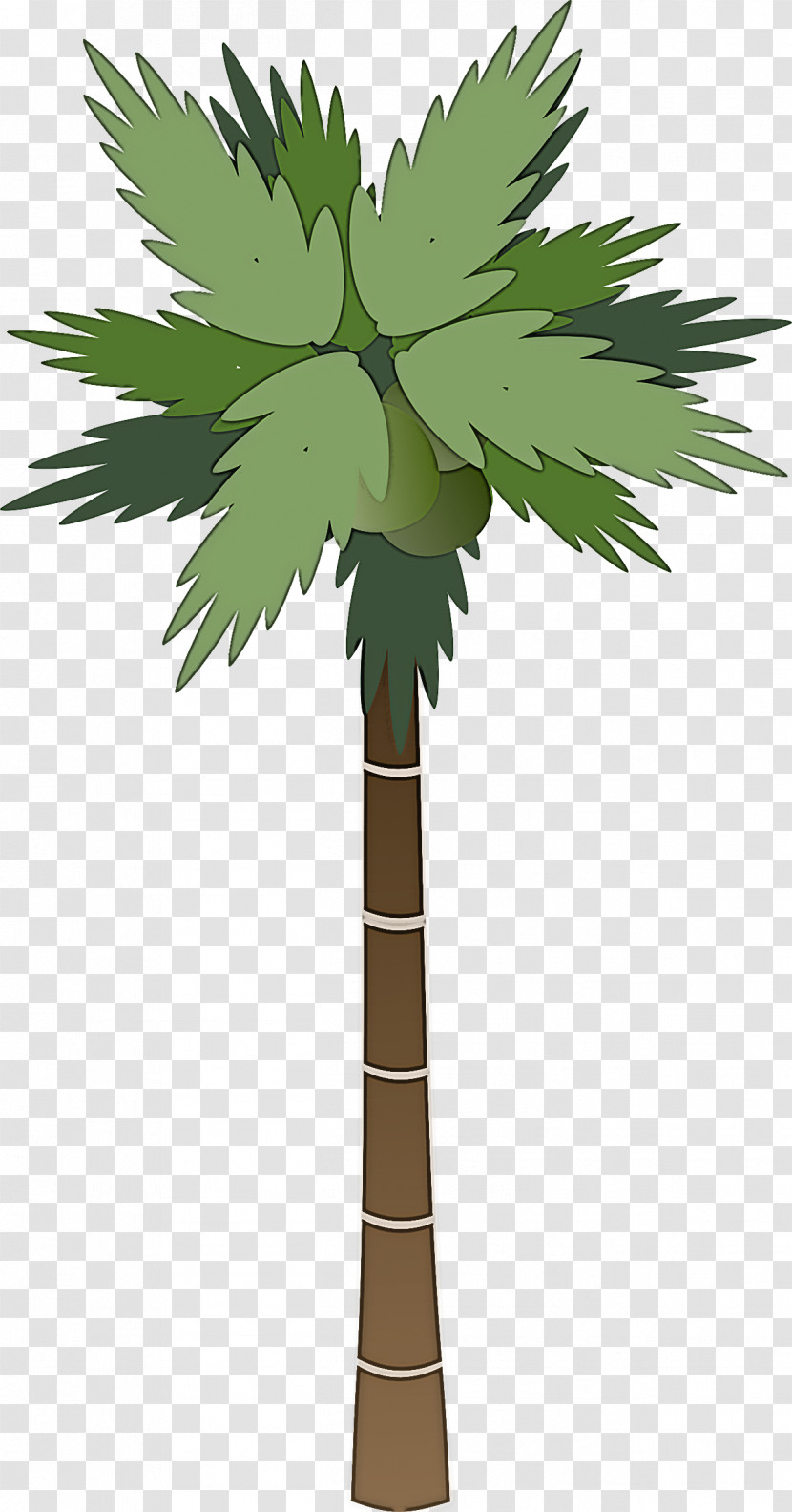 Palm Trees Transparent PNG