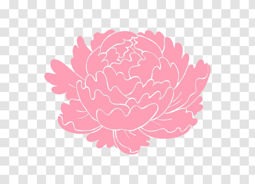 Peony Rose Family Floral Design - Pink - Flowering Plant Transparent PNG
