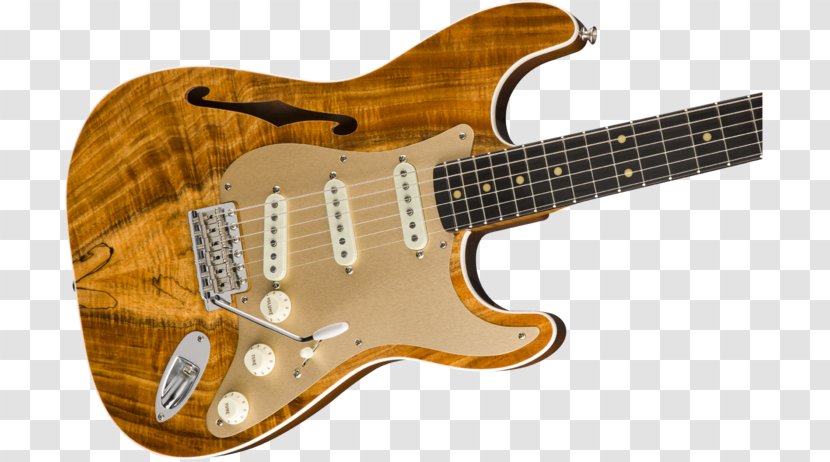Fender Stratocaster Telecaster Thinline Custom Shop Musical Instruments Corporation - Acoustic Guitar Transparent PNG