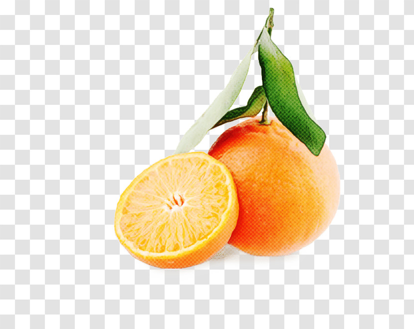 Orange Transparent PNG