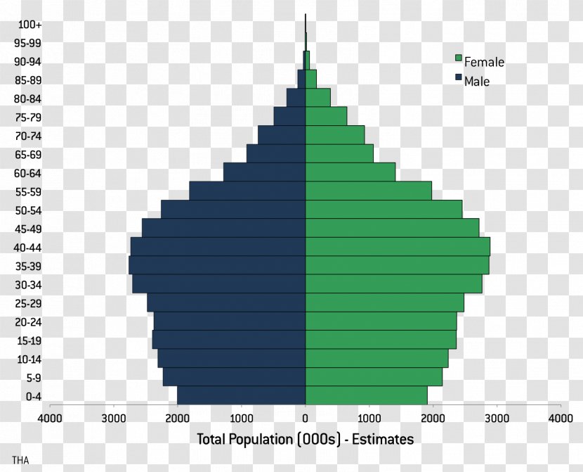 United States Statistics World Population Demography - Symmetry - Aging Transparent PNG
