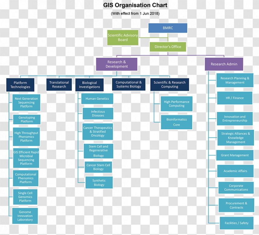 Organization Pathway Studio Molecular Cell Biology Research Information - Text - Science Transparent PNG