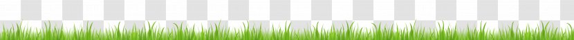 Sunlight Green Sky Yellow - Grass Transparent PNG