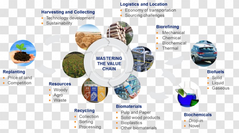 Pulp Value Chain Paper Supply Biobased Economy - Bioplastic Transparent PNG