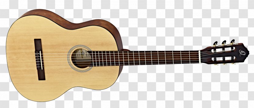Fender Musical Instruments Corporation CC-60SCE Acoustic Guitar Acoustic-electric - Flower Transparent PNG