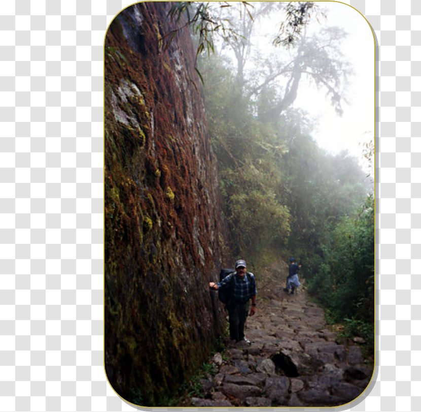 Inca Trail To Machu Picchu Road System Empire Inti Punku - Hiking - Peru Transparent PNG