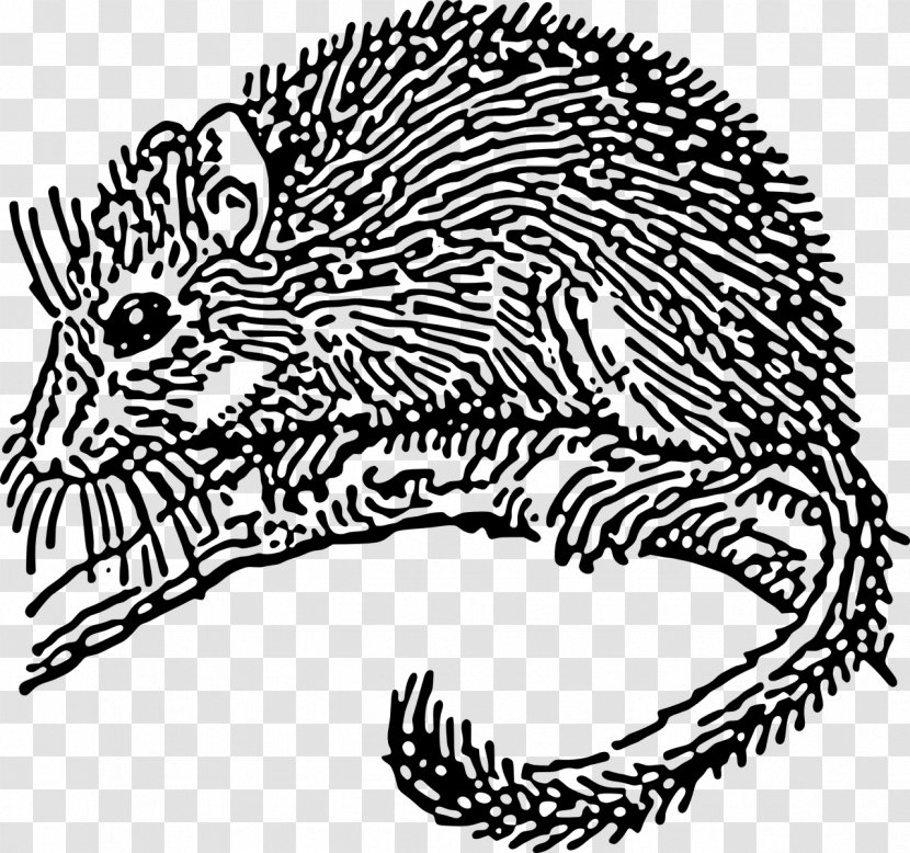Dormouse Rodent Drawing Clip Art - Wildlife - Mouse Transparent PNG