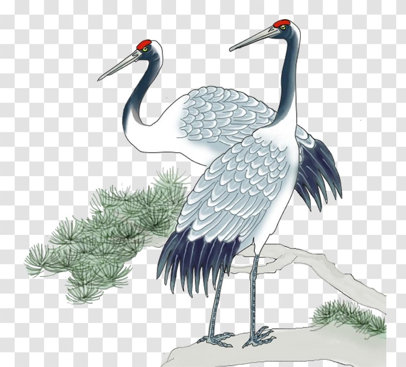 Red-crowned Crane Bird - Photography Transparent PNG