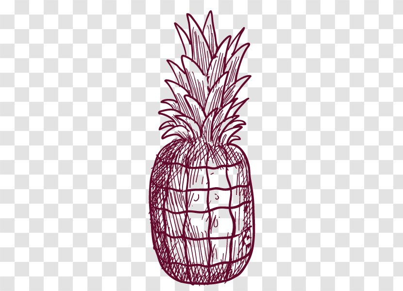 Pineapple Drawing - Diagram Transparent PNG
