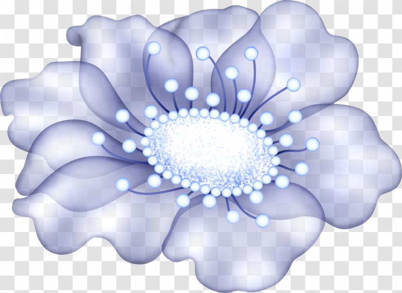 1,2,3,4,5,6,7,8,9,10,11,12,13,14,15,16,17,18,19,20,21,22,23,24 Petal Russia LiveInternet Desktop Wallpaper - Flowering Plant - Sunflower Drawing Transparent PNG