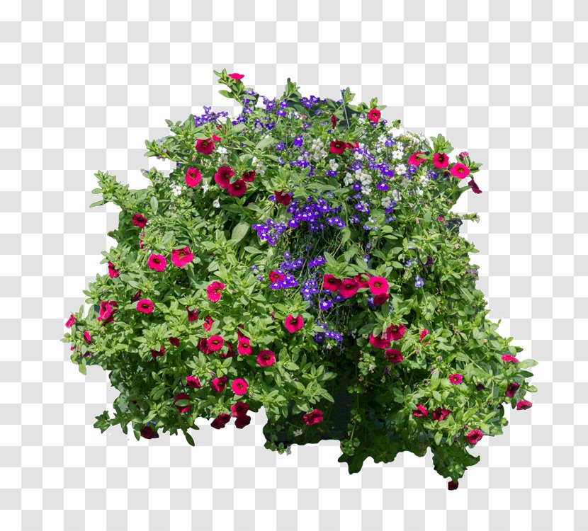 Flower Garden Plant Shrub Artificial - Flowerpot - Vine Transparent PNG