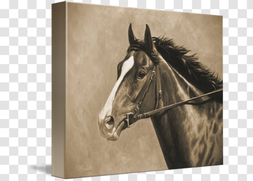 Thoroughbred American Paint Horse Appaloosa Stallion Painting - Tree Transparent PNG