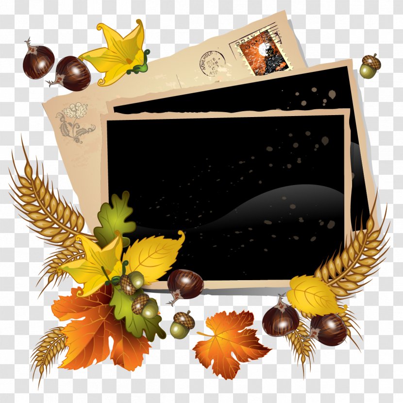 Super Fruit Fall Autumn - Vecteur - Vintage Frame Transparent PNG