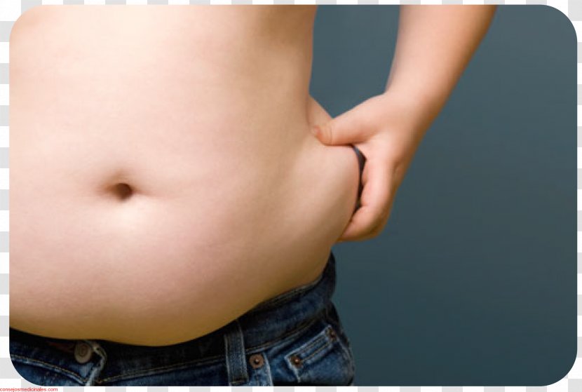 Abdominal Obesity Abdomen Adipose Tissue Fat - Silhouette - Health Transparent PNG