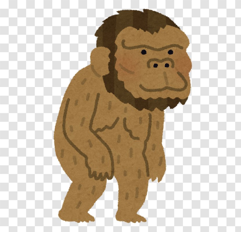 Human Evolution Southern Ape Homo Sapiens Neanderthal - Common Chimpanzee - Australopithecus Bahrelghazali Transparent PNG
