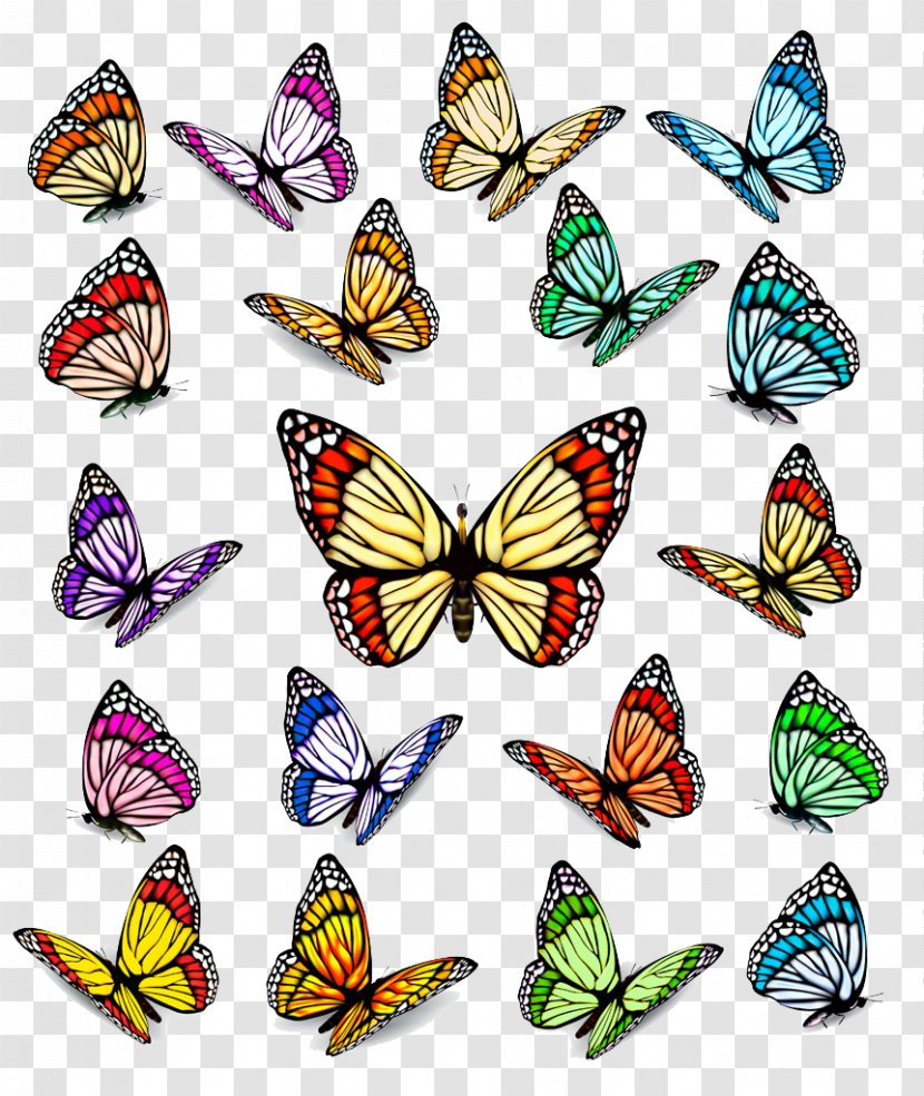 Royalty-free Euclidean Vector Stock Photography Illustration - Insect - Creative Butterfly Transparent PNG