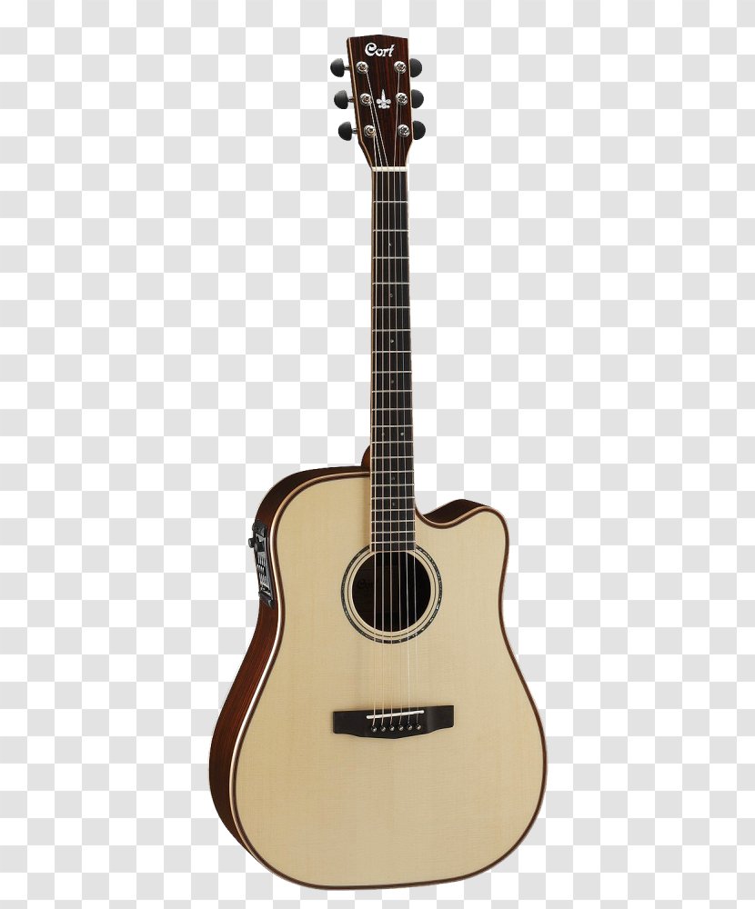 Maton Steel-string Acoustic Guitar Electric - Cartoon Transparent PNG