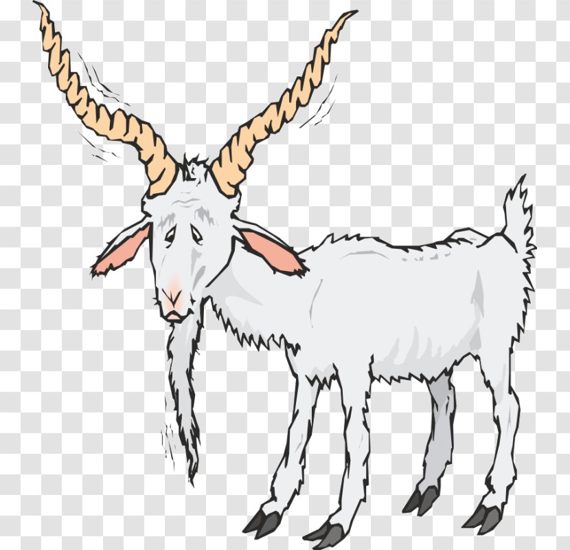 Boer Goat Sheep Clip Art - Fauna Transparent PNG