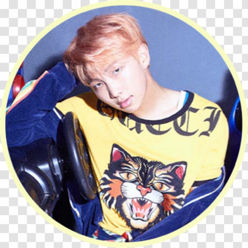 J-Hope BTS Love Yourself: Her For You South Korea - Vertebrate - Seok Transparent PNG