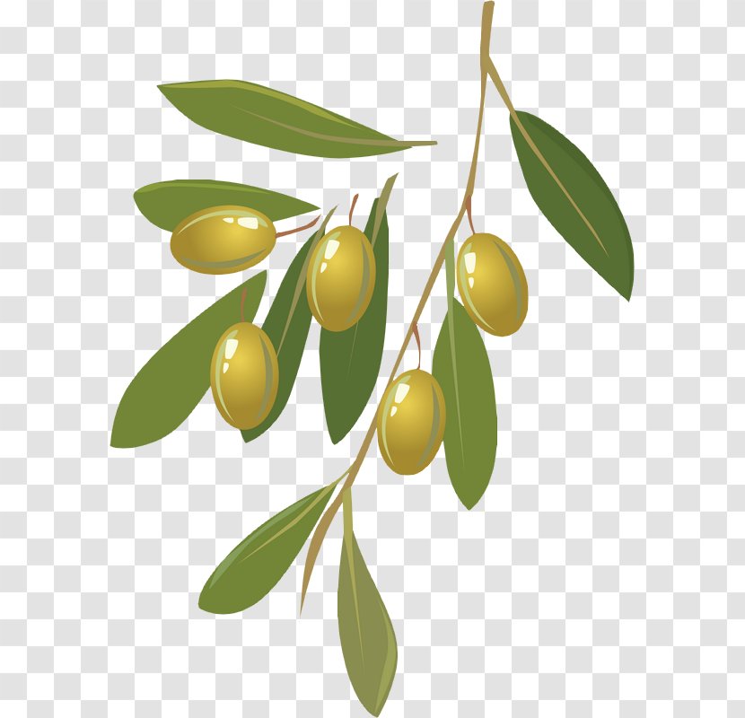 Wine Olive Oil - Pineapple - Olives Transparent PNG