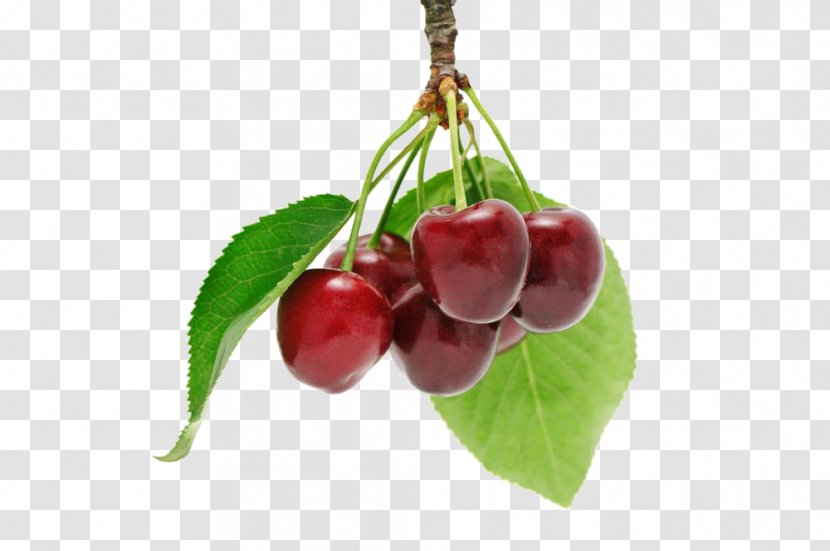 Cherry Fruit Download Berry - Food Transparent PNG